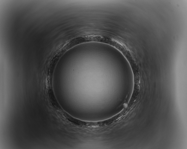 X0000097830965200803201454