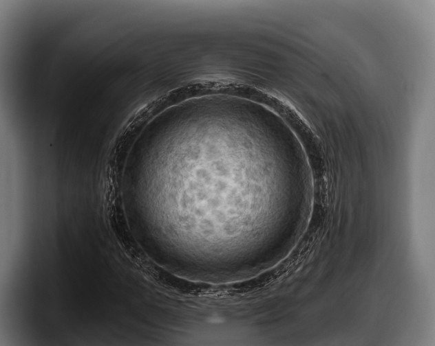 X0000097830967200803201454