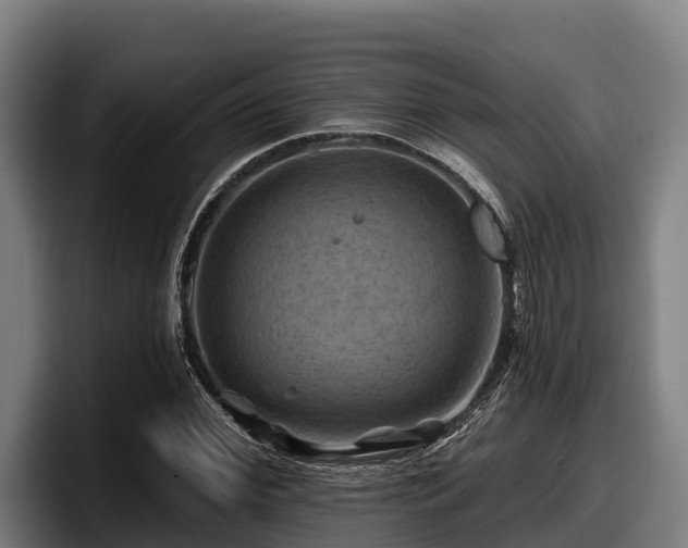 X0000097830972200803201454