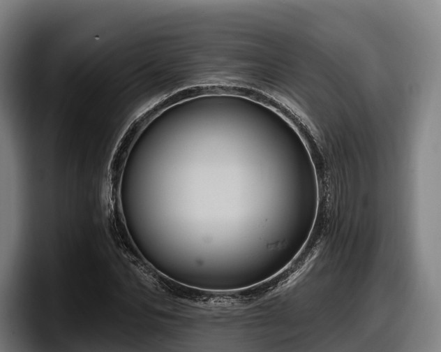 X0000097830974200803201454