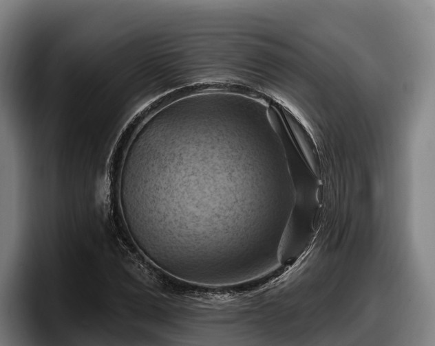 X0000097830975200803201454
