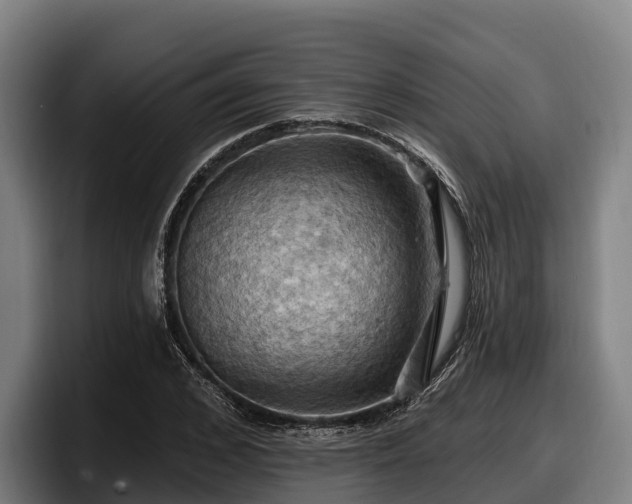 X0000097830976200803201454