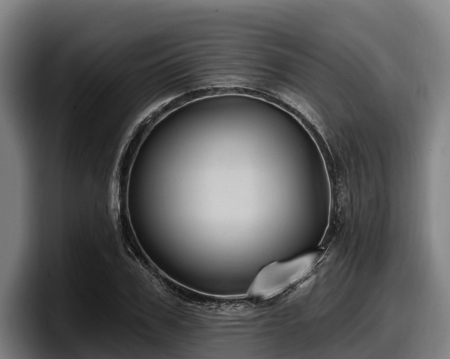 X0000097830979200803201454