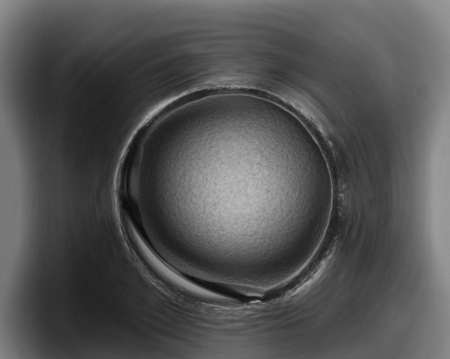 X0000097830981200803201454
