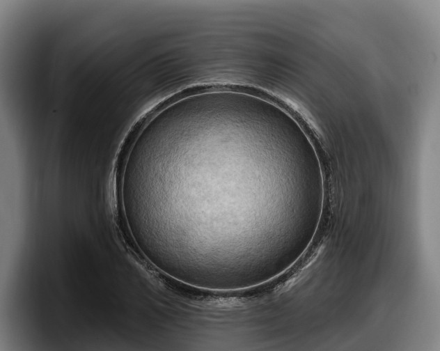 X0000097830982200803201454
