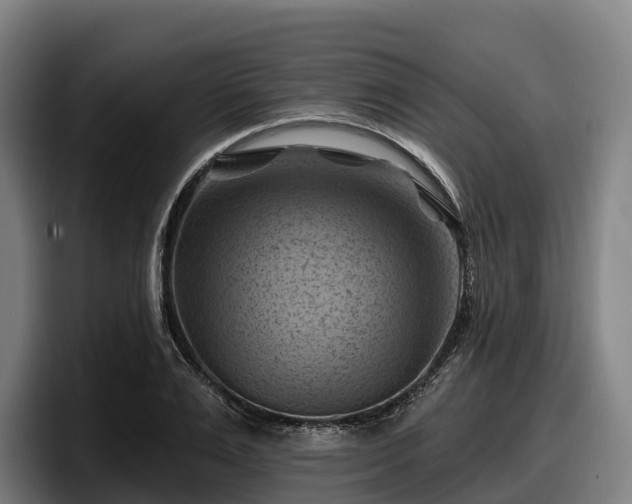 X0000097830983200803201454