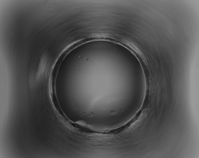 X0000097830984200803201454