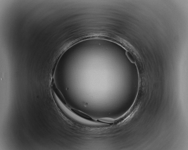 X0000097830985200803201454