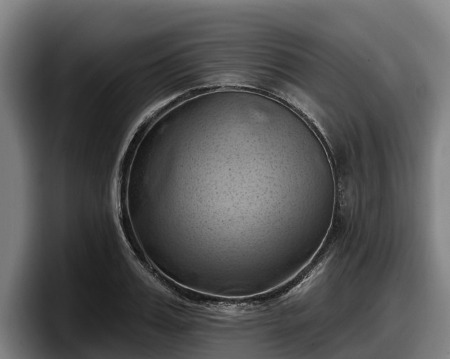 X0000097830987200803201454