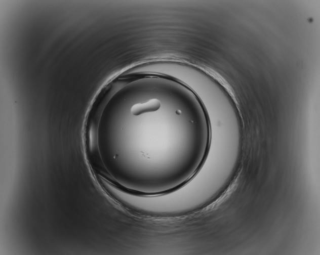 X0000097830989200803201454