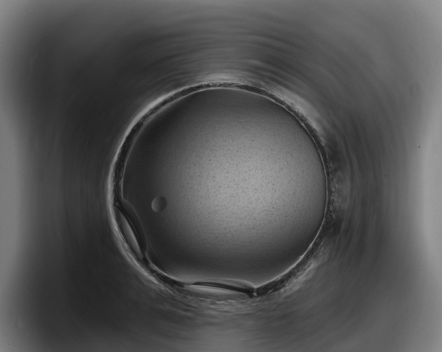 X0000097830991200803201454