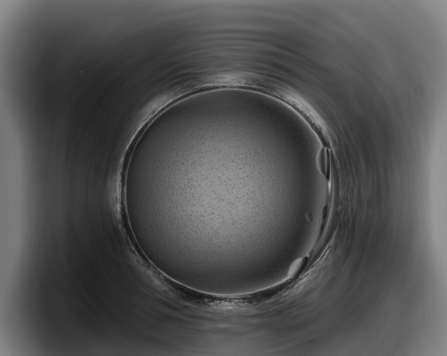 X0000097830994200803201454