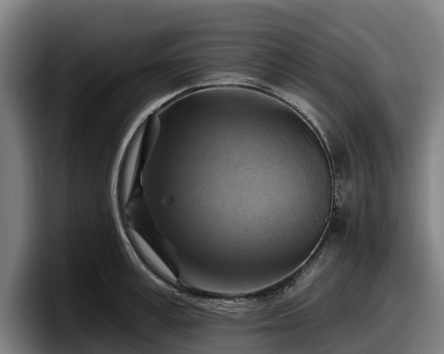 X0000097830995200803201454