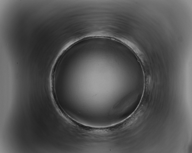 X0000097830998200803201454