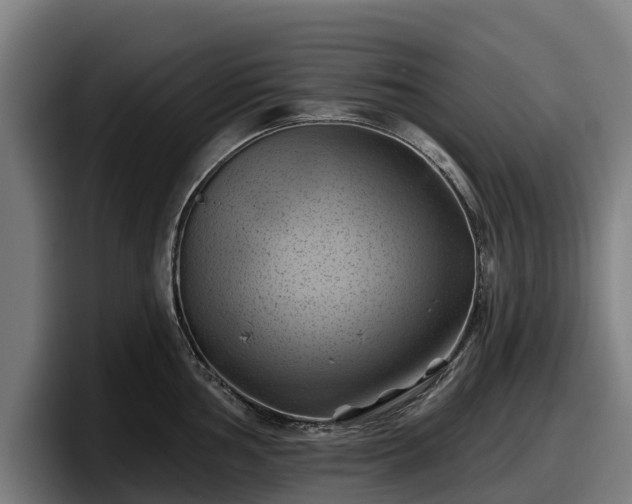 X0000097831002200803201454
