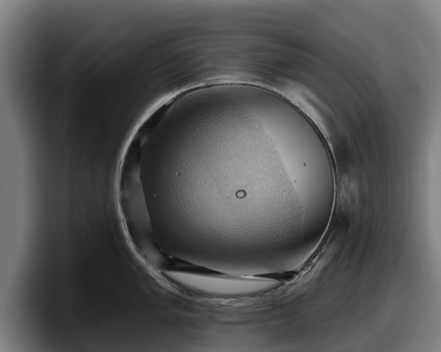 X0000097831005200803201454