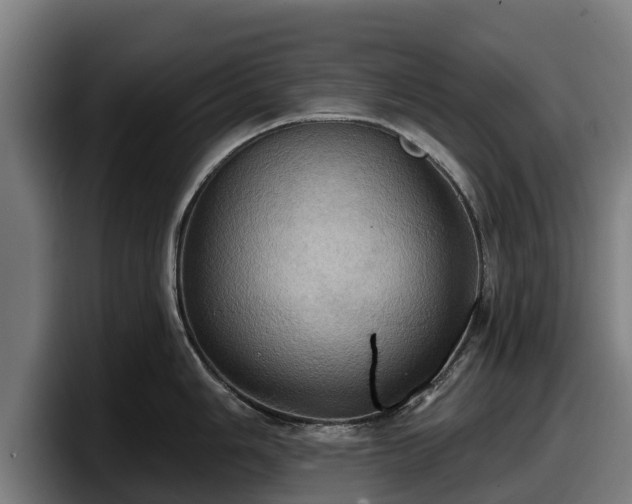 X0000097831006200803201454