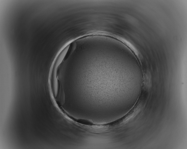 X0000097831007200803201454