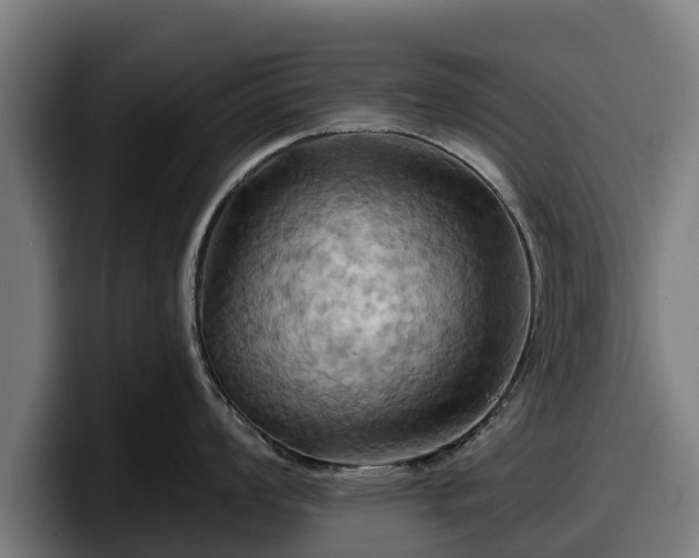 X0000097831008200803201454