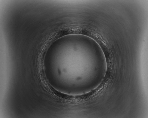 X0000097831009200803201453