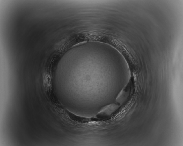 X0000097831010200803201453