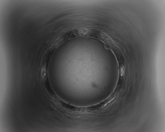 X0000097831011200803201453