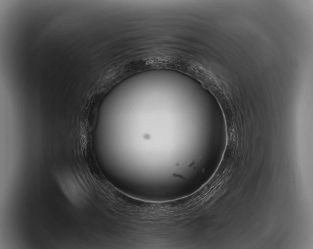 X0000097831012200803201453