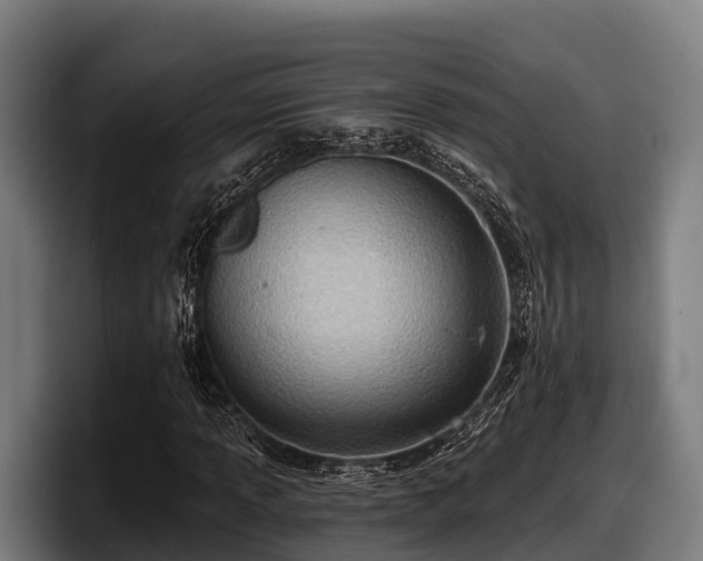X0000097831013200803201453