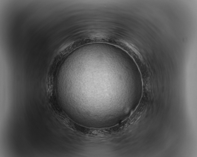 X0000097831015200803201453