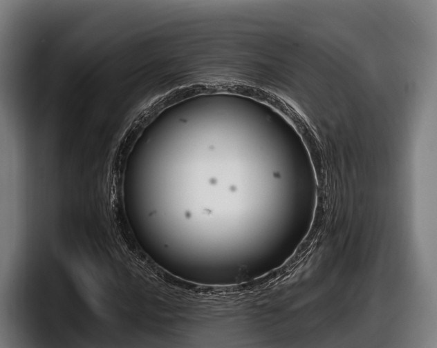 X0000097831016200803201453