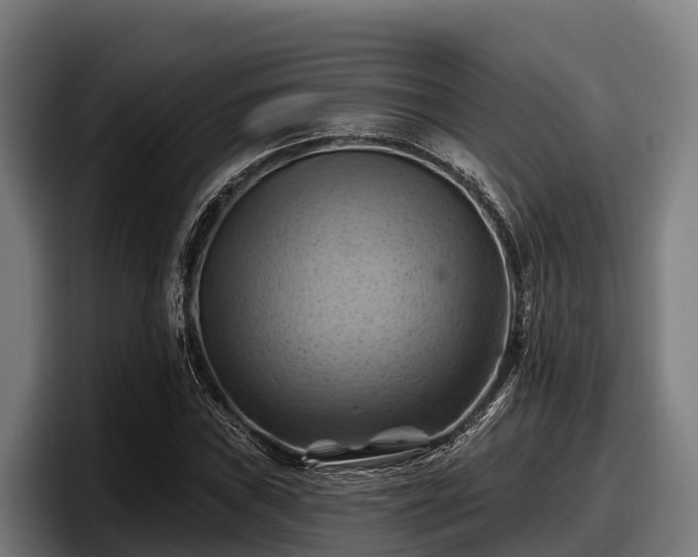 X0000097831019200803201453