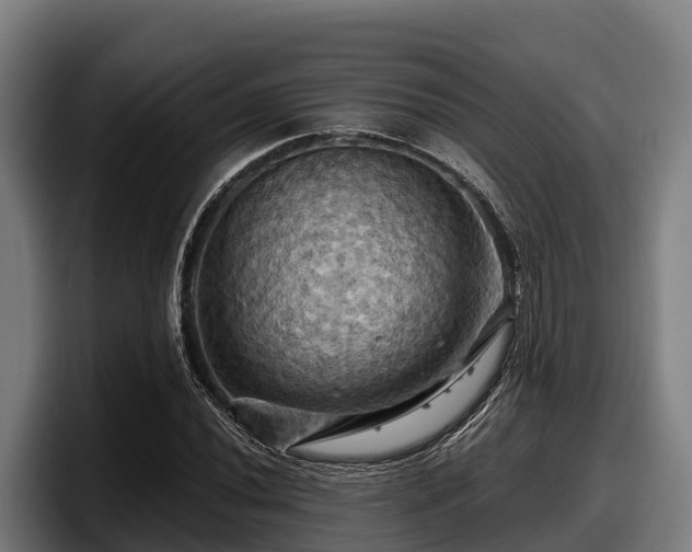 X0000097831020200803201453