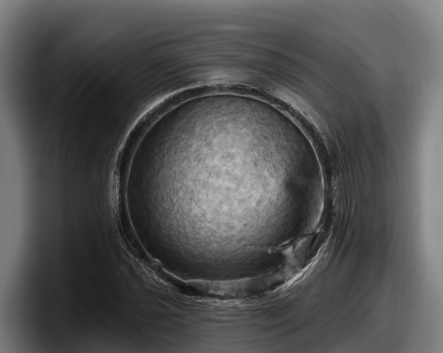 X0000097831021200803201453
