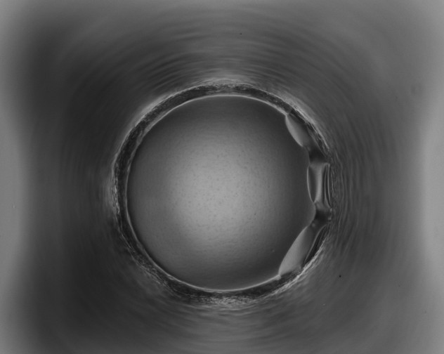 X0000097831022200803201453