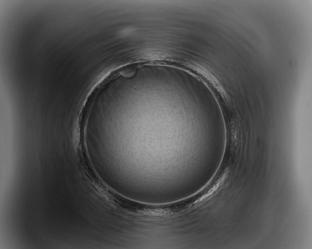 X0000097831023200803201453