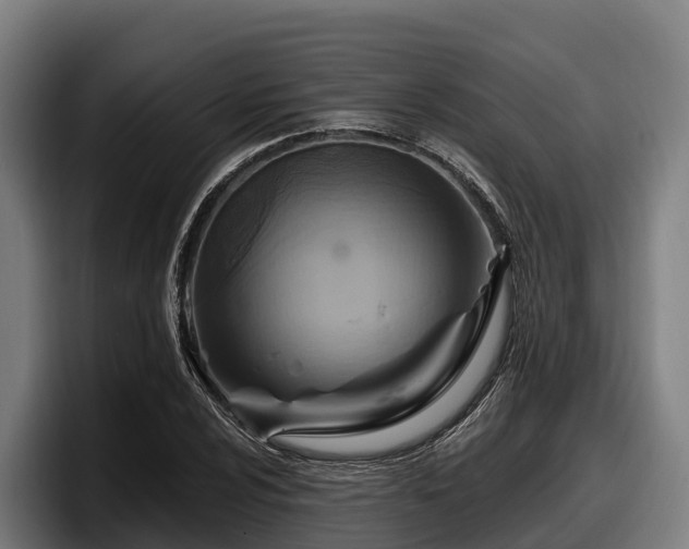 X0000097831024200803201453