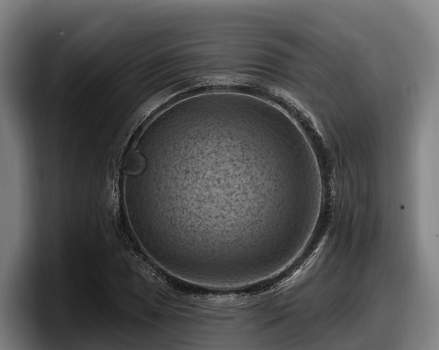 X0000097831025200803201453