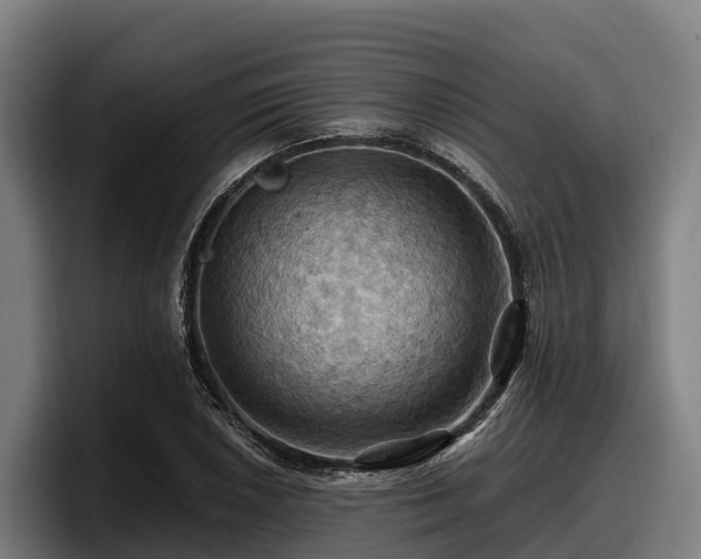X0000097831026200803201453