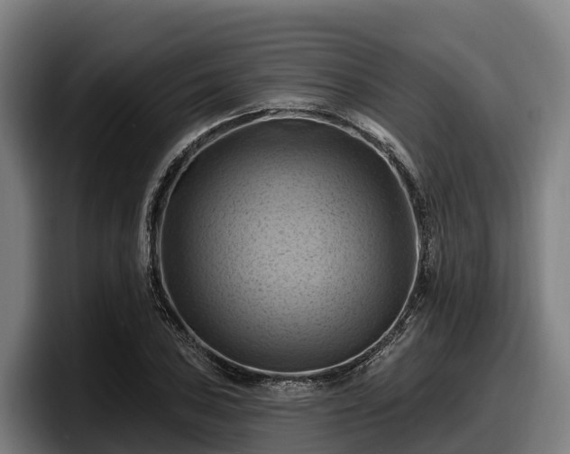 X0000097831027200803201454