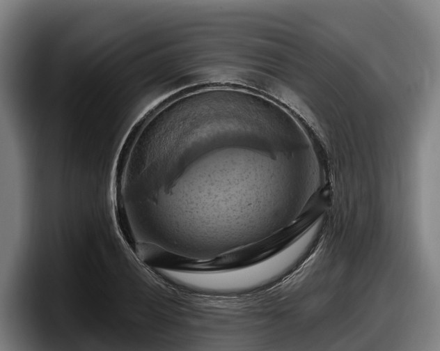 X0000097831028200803201454