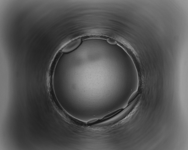 X0000097831029200803201454