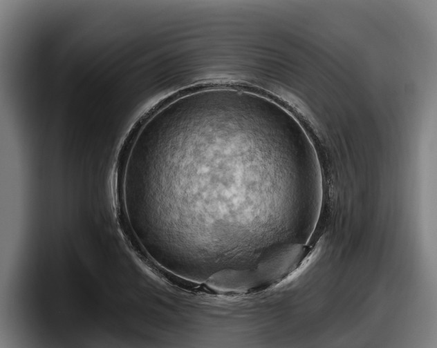 X0000097831030200803201454