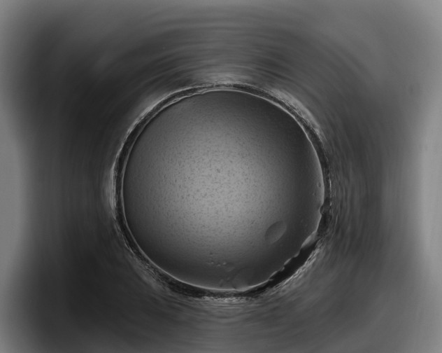 X0000097831031200803201454