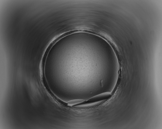X0000097831032200803201454