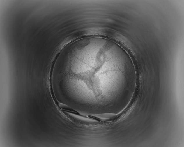 X0000097831033200803201454
