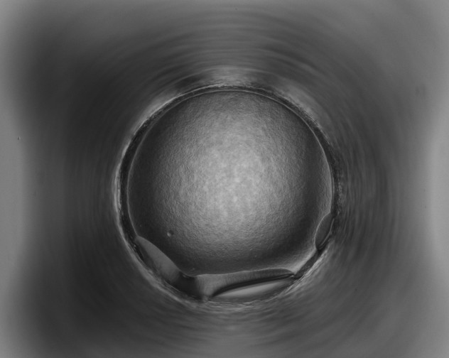 X0000097831034200803201454