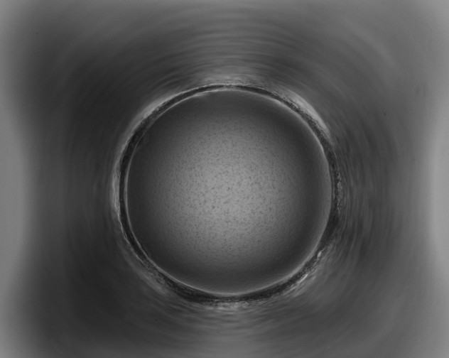 X0000097831035200803201454