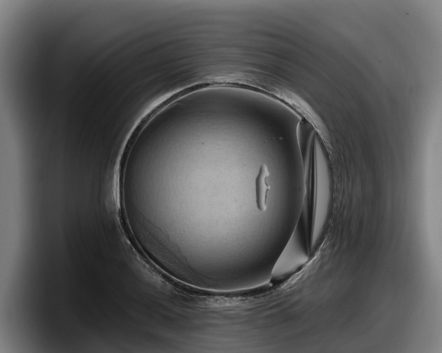 X0000097831036200803201454