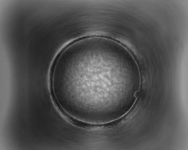 X0000097831038200803201454
