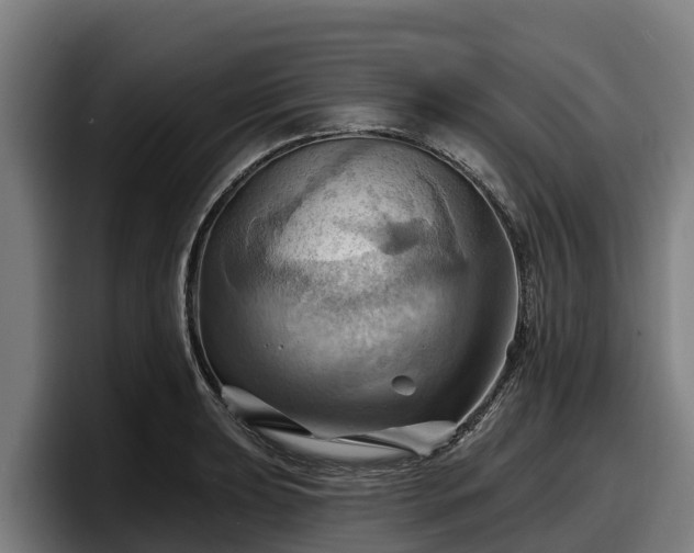 X0000097831039200803201454